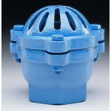 Foot Valve Leather Flapper Threaded End