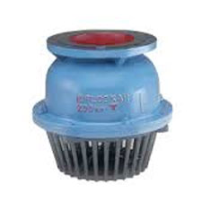 Foot Valve Leather Flapper Flanged End