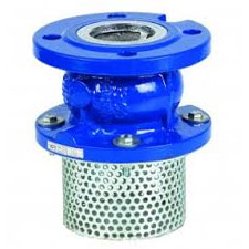 Metallic Foot Valve Flanged End